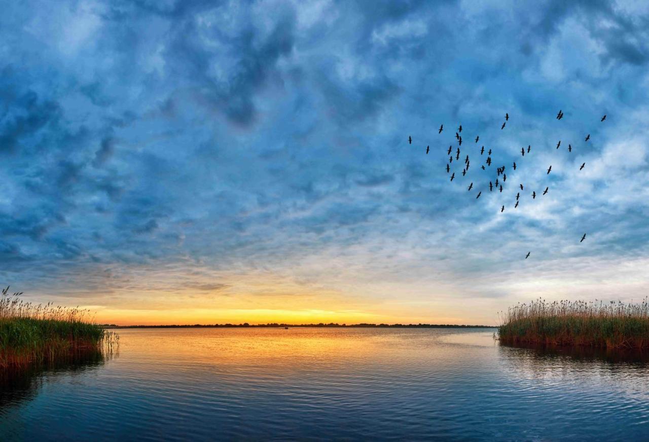 Manzini Chalets Saint Lucia Estuary المظهر الخارجي الصورة